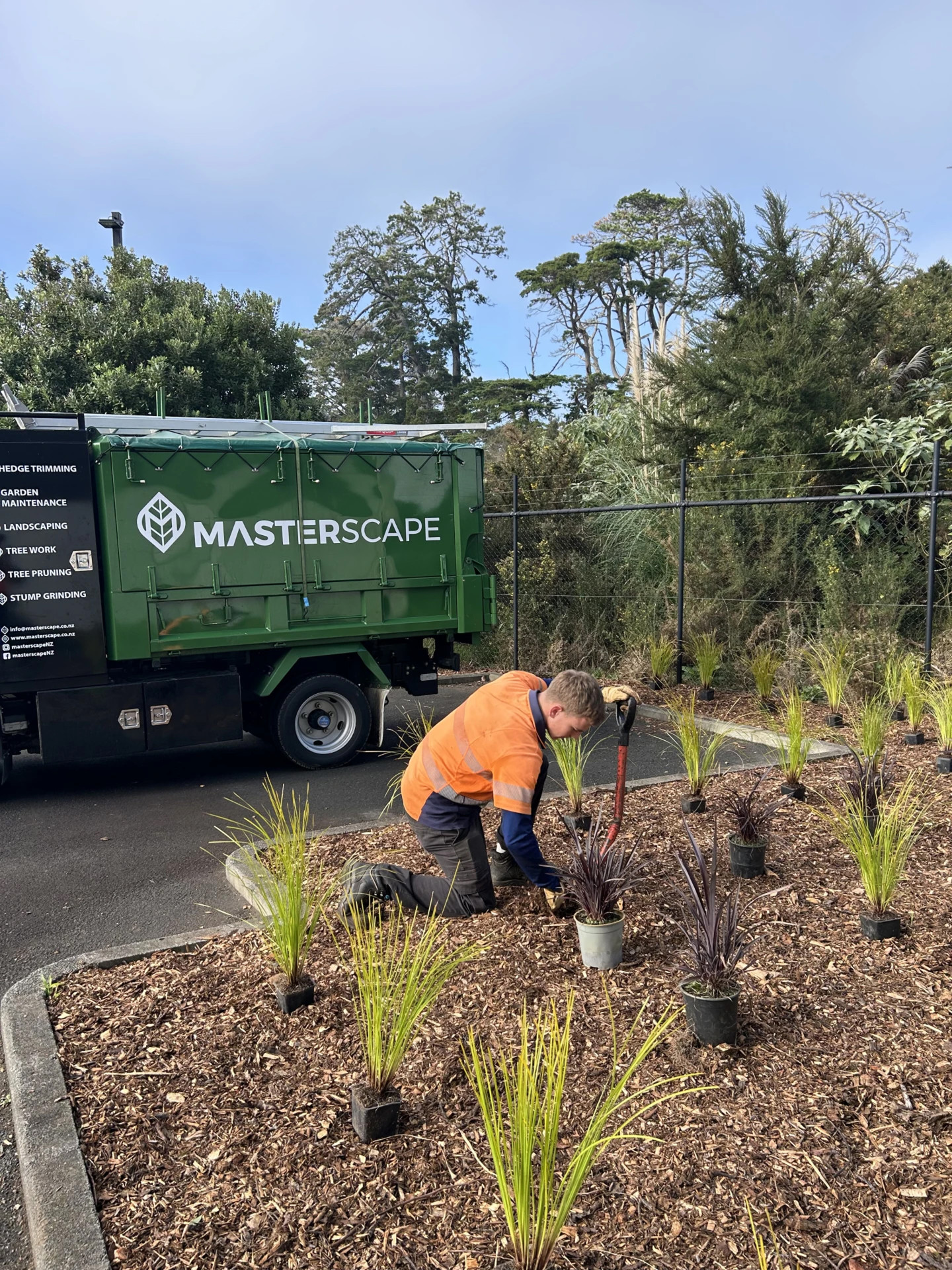 Masterscape crew member planting native grasses and flax in a garden bed beside a branded Masterscape truck in Auckland