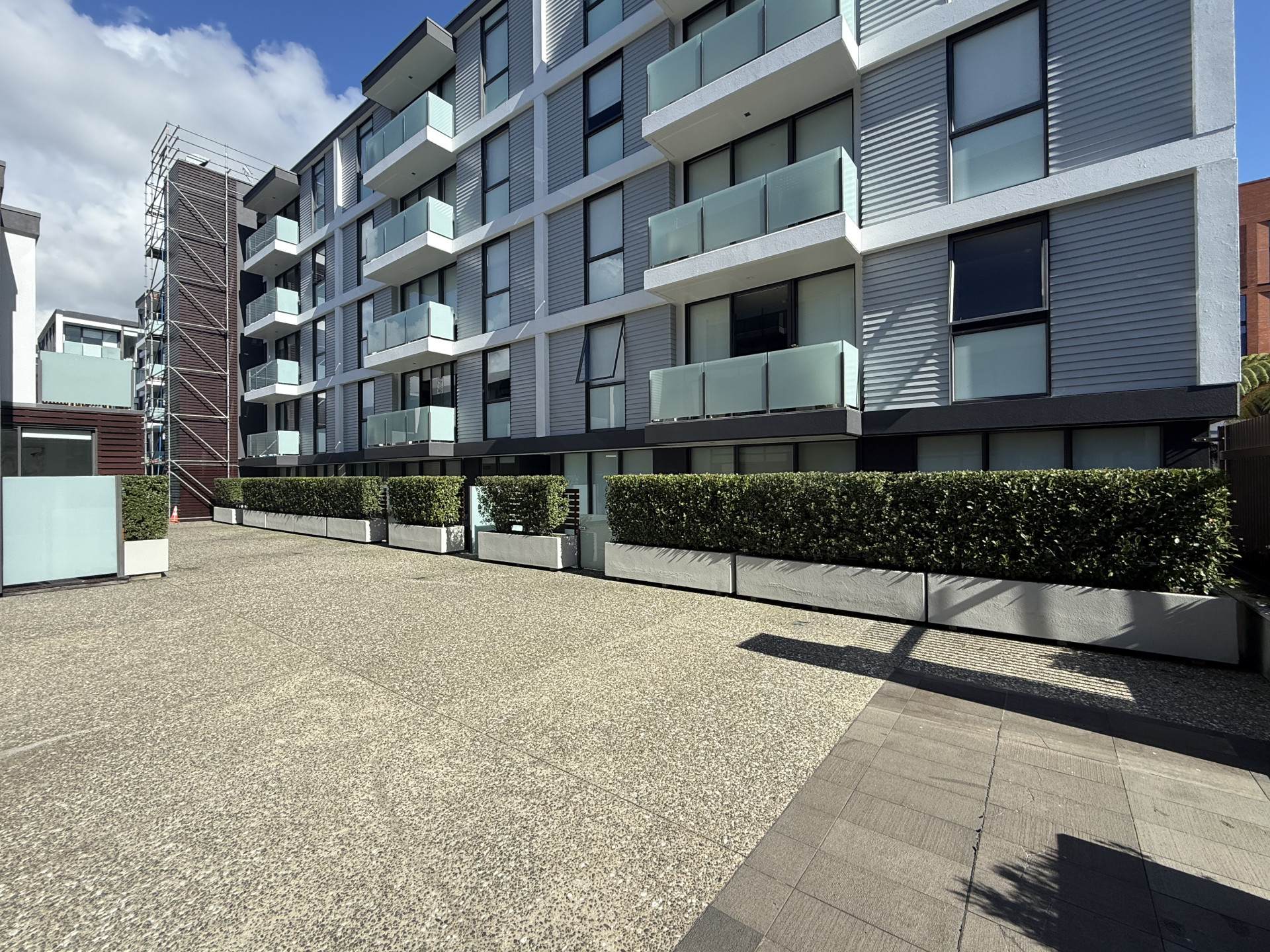 Neatly trimmed hedges in planter boxes along the entrance of a modern body corporate apartment complex in Auckland maintained by Masterscape