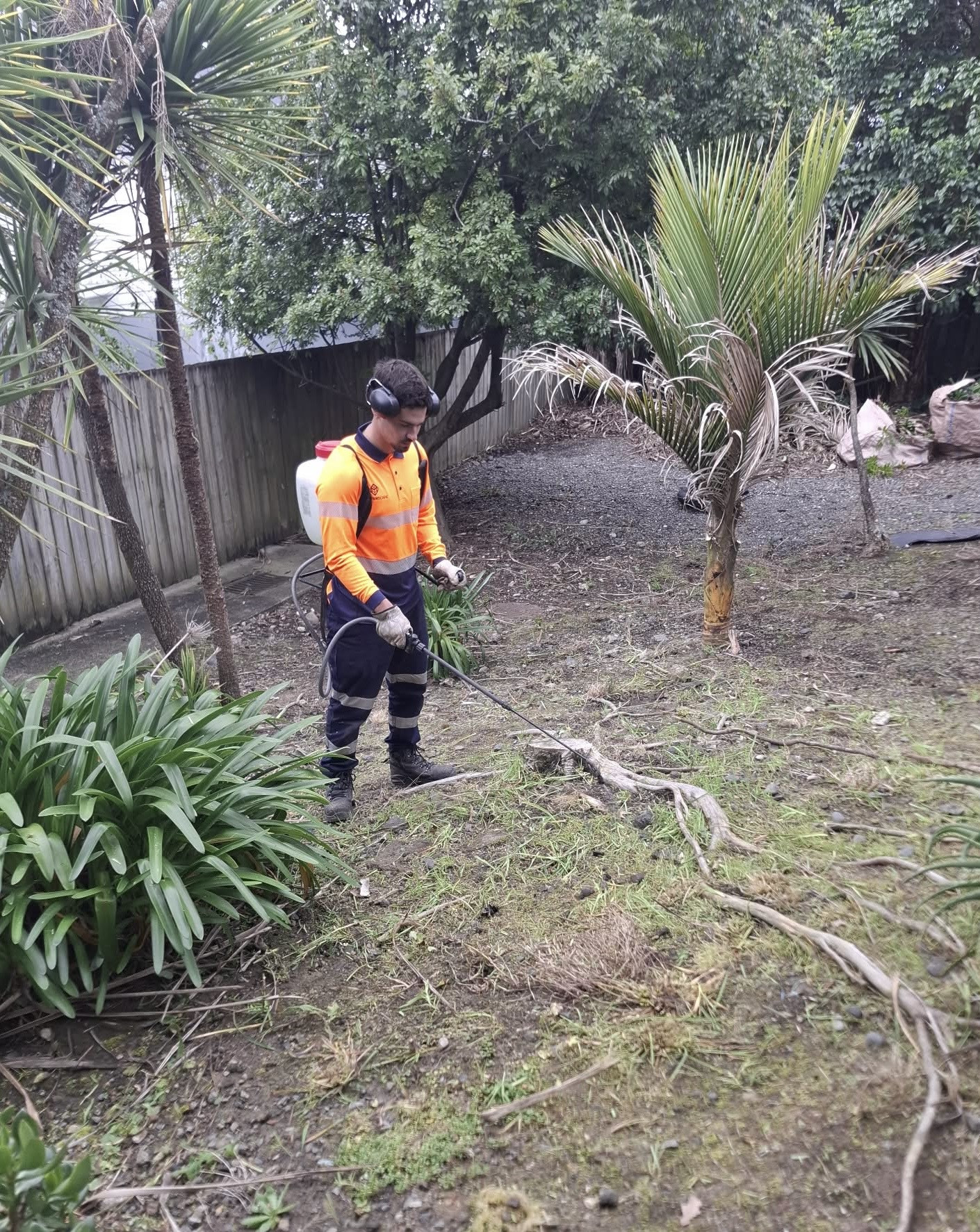 Masterscape crew member applying weed spray during a garden clearance job at a residential property in Auckland