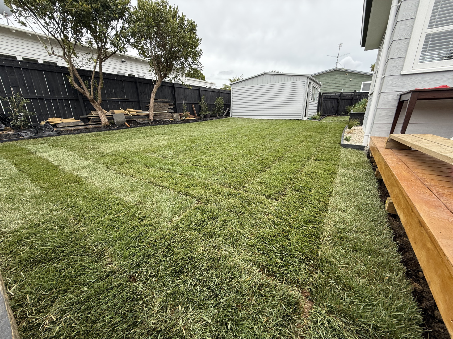 Freshly laid turf in a residential backyard in Auckland installed by Masterscape as part of a landscaping project