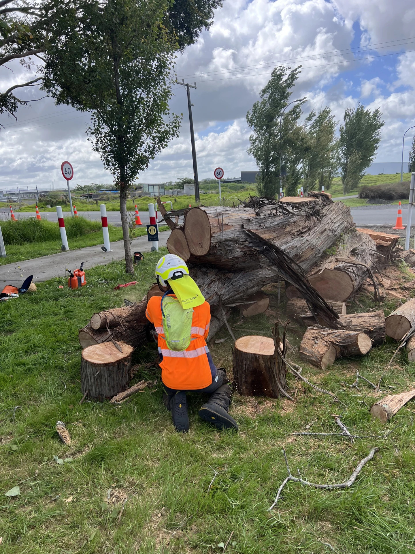 Masterscape arborist cutting through a massive storm-felled tree on a roadside verge with full traffic management in place in Auckland
