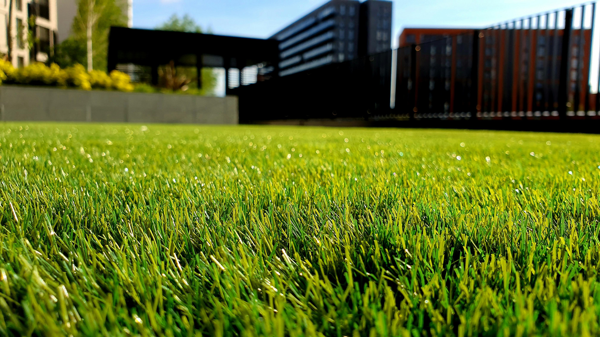 Close-up of a lush, well-maintained commercial lawn at a modern building complex