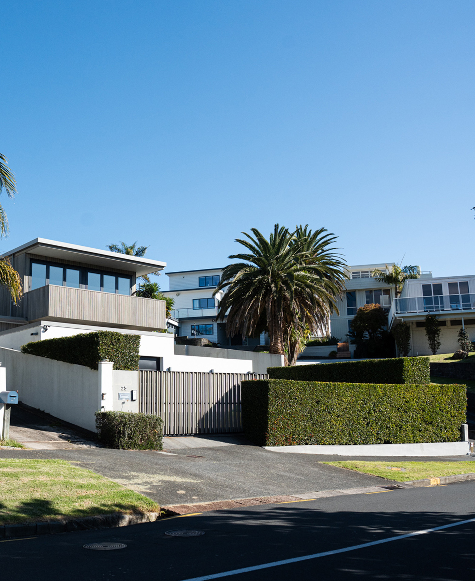Neatly trimmed hedges and manicured grounds at a luxury residential property in Auckland maintained by Masterscape