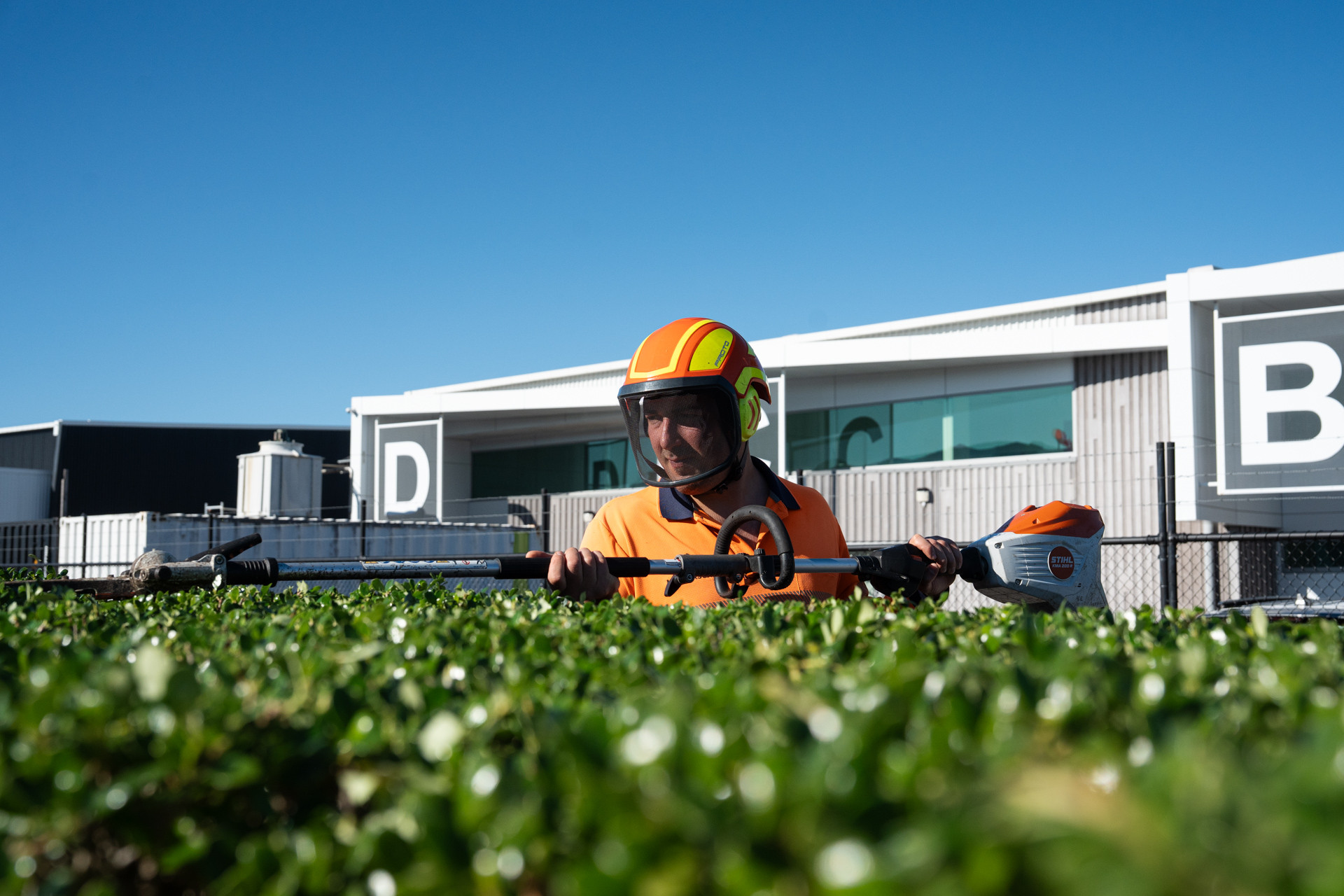 Masterscape crew member trimming hedges with a Stihl hedge trimmer at a commercial facility in Auckland